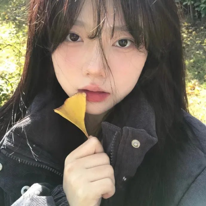 失踪者搜寻组消失的真相